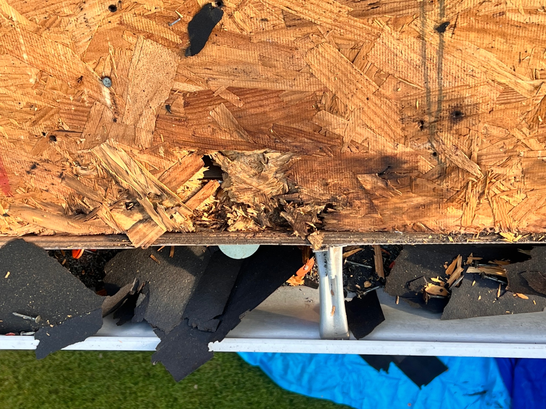 Severely damaged eave decking exposed during roof replacement in Braun Station